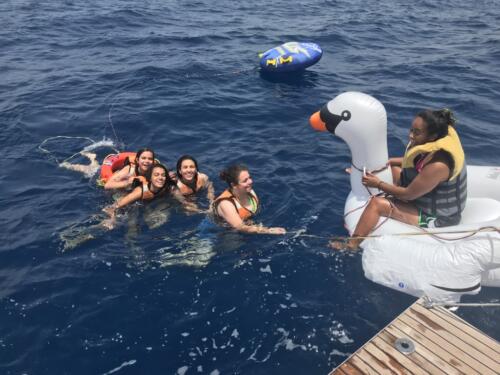 שחיה בלב ים על יאכטה